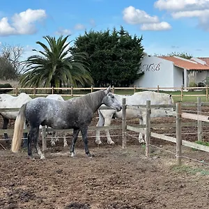 https://le-petit-mas-des-barres.fr-provencehotel.com