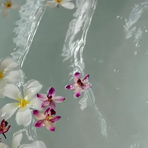 리조트 그랜드 와일레아 앤드 스파